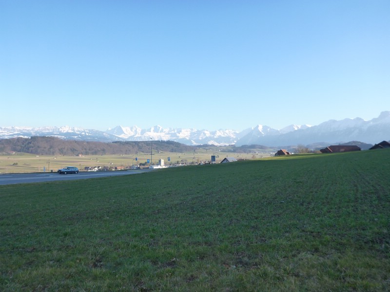 P1000253.JPG