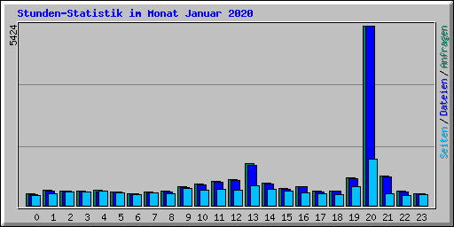 Stunden-Statistik im Monat Januar 2020