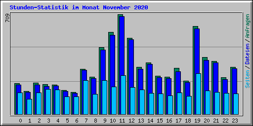 Stunden-Statistik im Monat November 2020