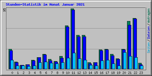 Stunden-Statistik im Monat Januar 2021