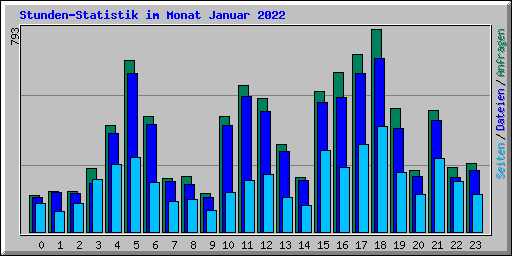 Stunden-Statistik im Monat Januar 2022