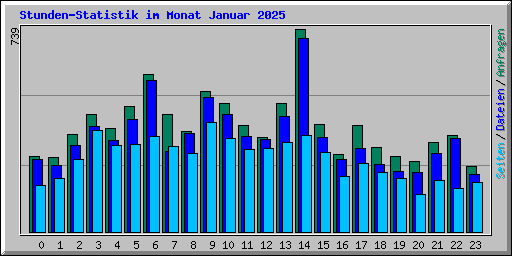 Stunden-Statistik im Monat Januar 2025