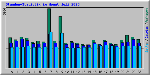 Stunden-Statistik im Monat Juli 2025