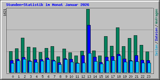 Stunden-Statistik im Monat Januar 2026