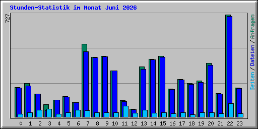 Stunden-Statistik im Monat Juni 2026
